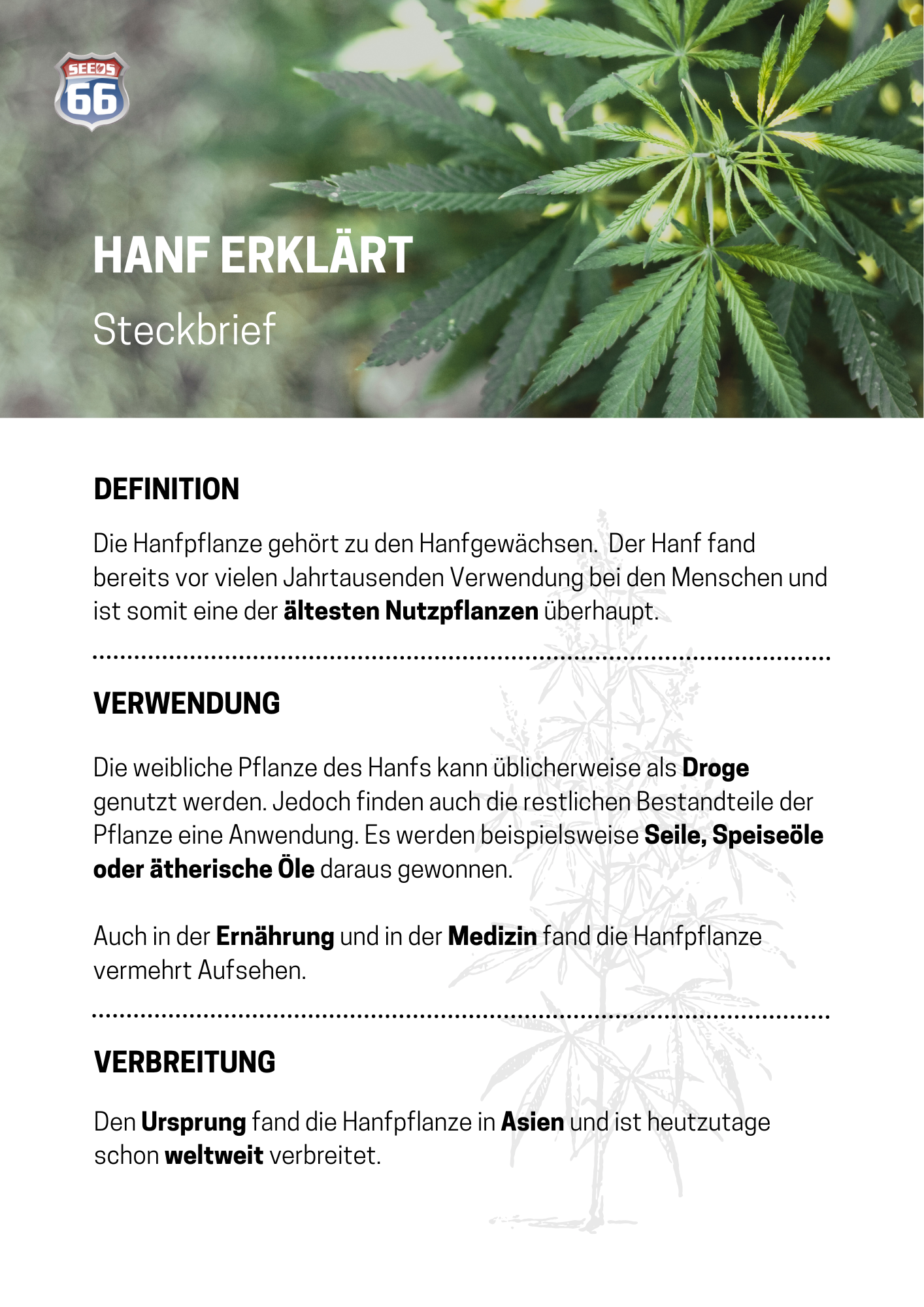 infografik_erklaerung_hanf