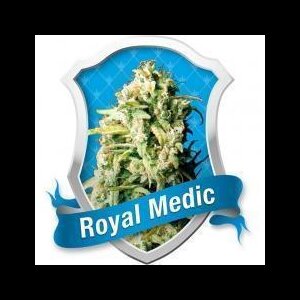 Royal Medic - Royal Queen Seeds