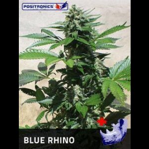 Blue Rhino - Positronic Seeds