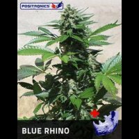 Blue Rhino - Positronic Seeds