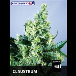 Claustrum - Positronic Seeds