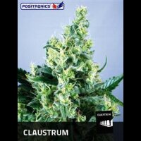 Claustrum - Positronic Seeds