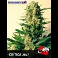 Critical # 47 - Positronic Seeds