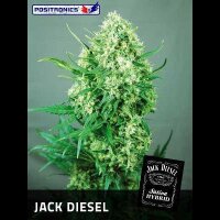 Jack Diesel - Positronic Seeds