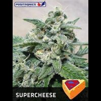 Supercheese - Positronic Seeds