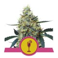 Mimosa from Royal Queen Seeds